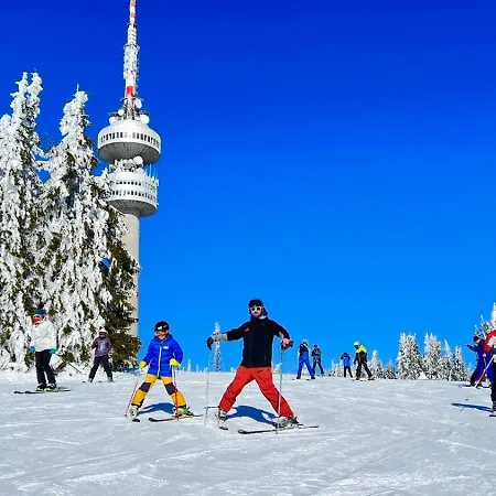 Orpheus فندق بامبوروفو